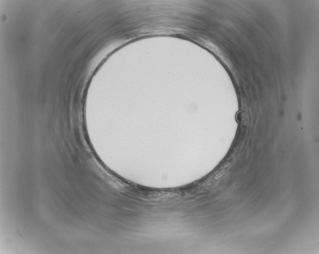 X0000070831187200607142333