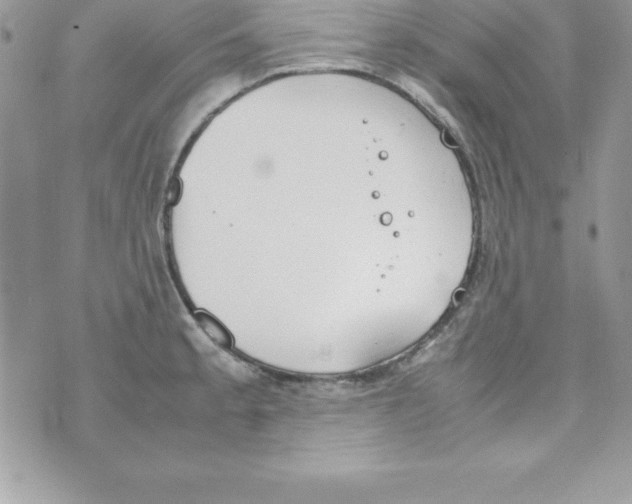 X0000070831189200607142333