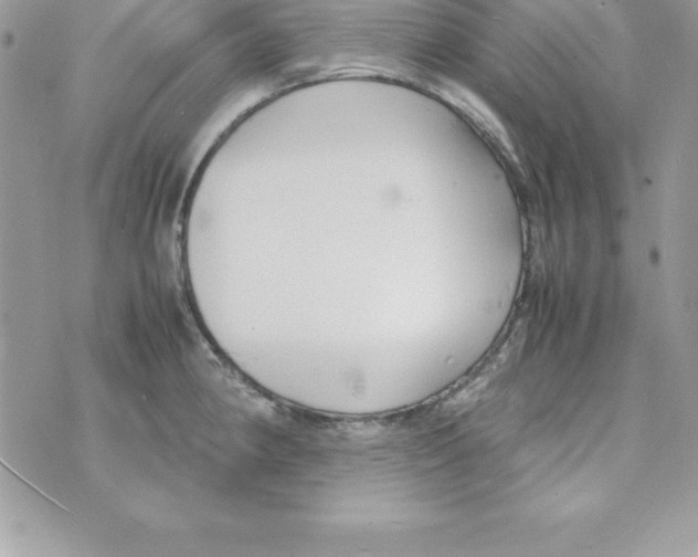 X0000070831190200607142333