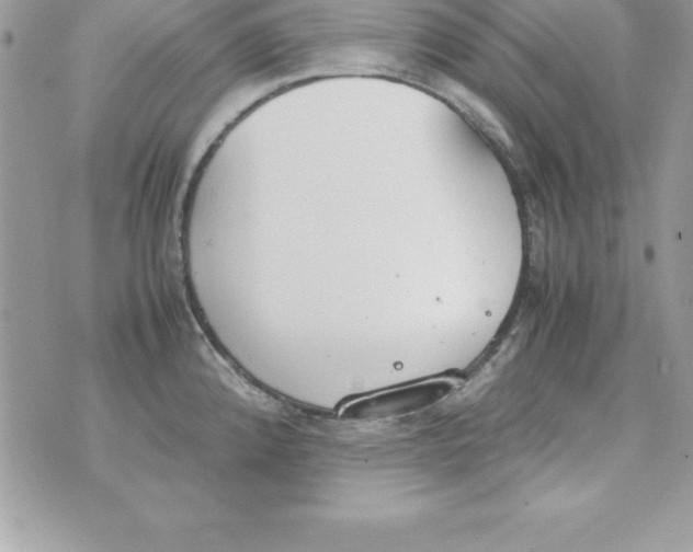 X0000070831192200607142333