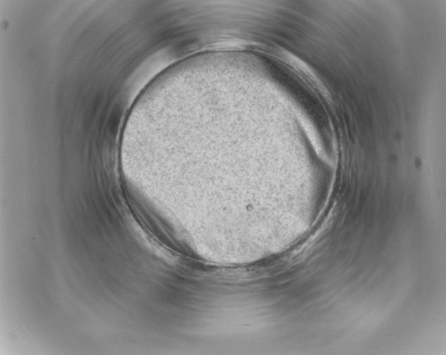 X0000070831194200607142333