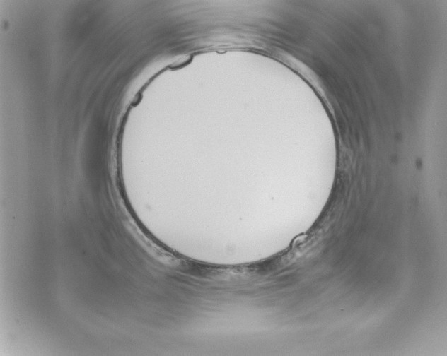 X0000070831195200607142333