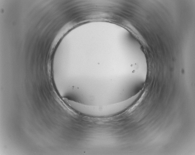 X0000070831196200607142333