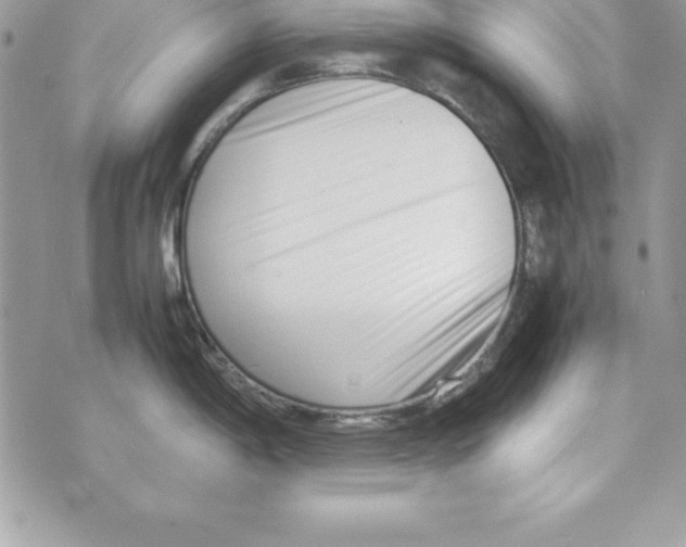 X0000070831198200607142333