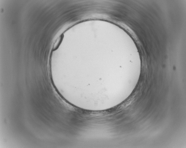 X0000070831199200607142333