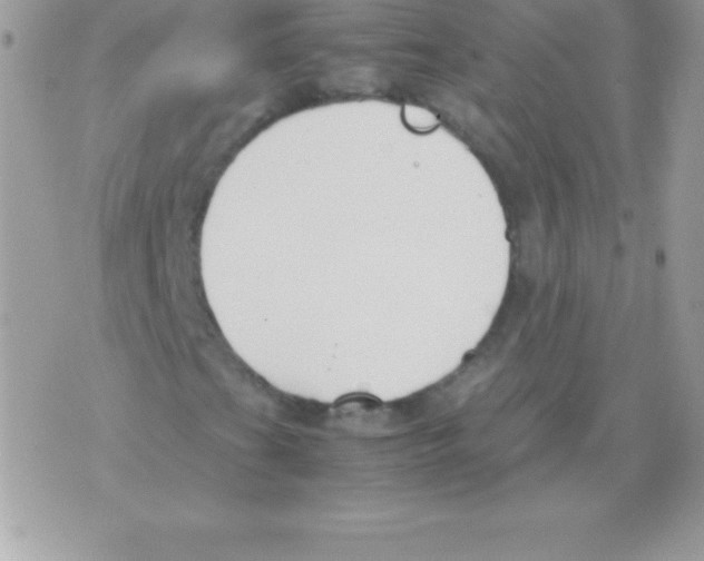 X0000070831201200607142332