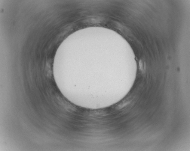 X0000070831203200607142332