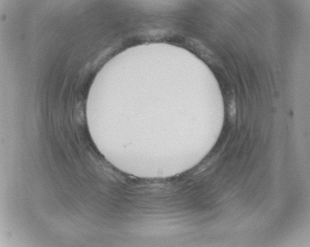 X0000070831204200607142332