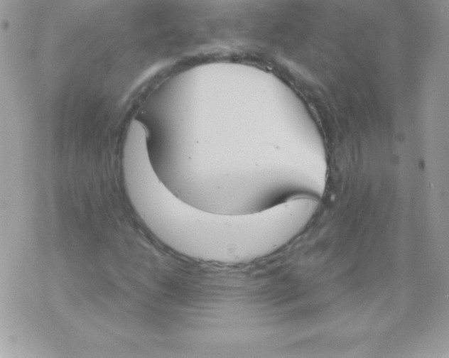 X0000070831206200607142332