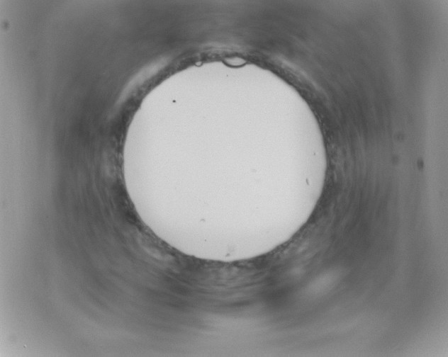 X0000070831207200607142332