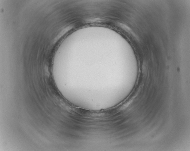 X0000070831209200607142332