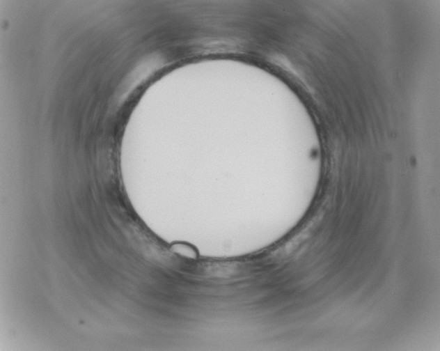 X0000070831211200607142332