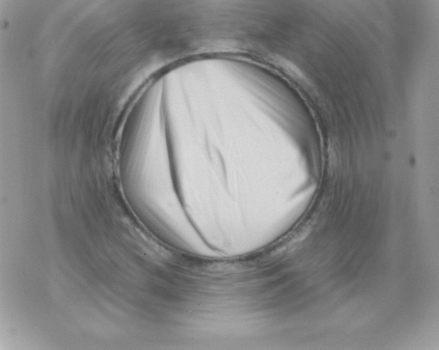 X0000070831212200607142332