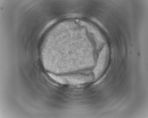 X0000070831213200607142332