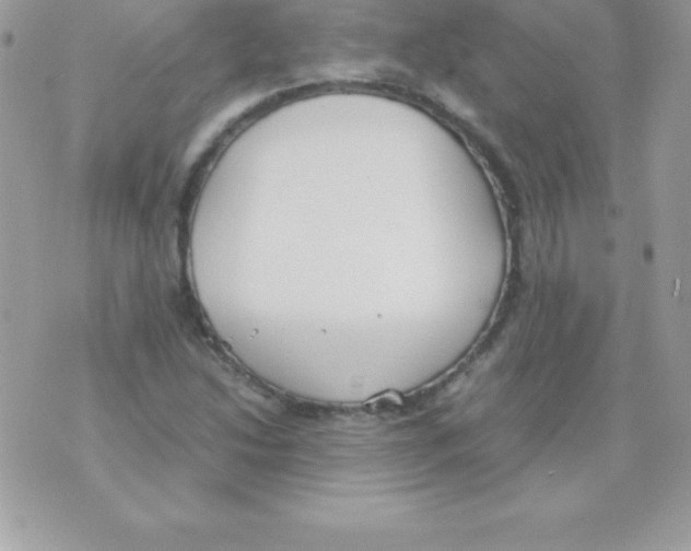 X0000070831214200607142332