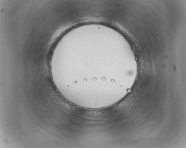 X0000070831215200607142332