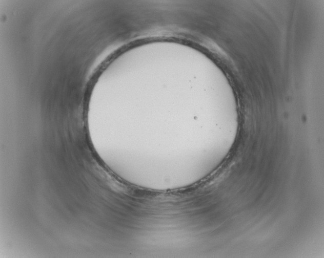 X0000070831216200607142332