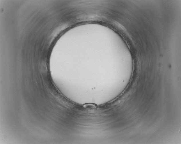 X0000070831218200607142332