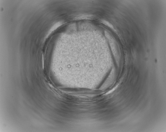 X0000070831219200607142332