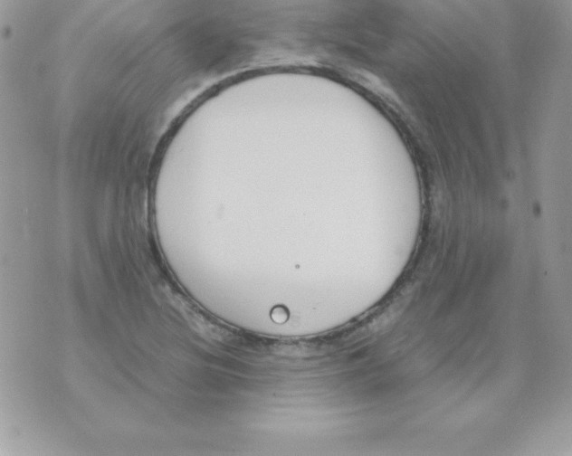 X0000070831220200607142332