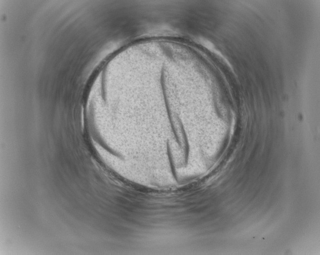 X0000070831221200607142332