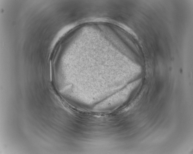 X0000070831223200607142332