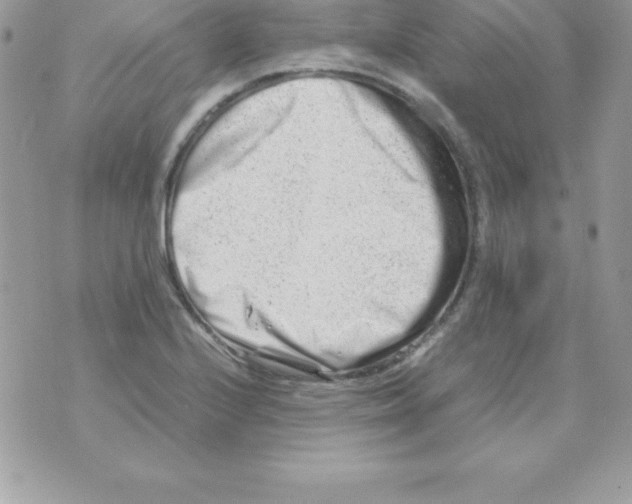 X0000070831224200607142332