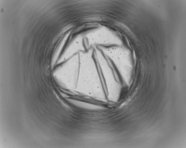 X0000070831225200607142332