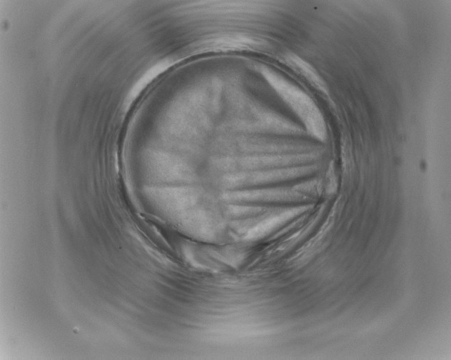 X0000070831226200607142332