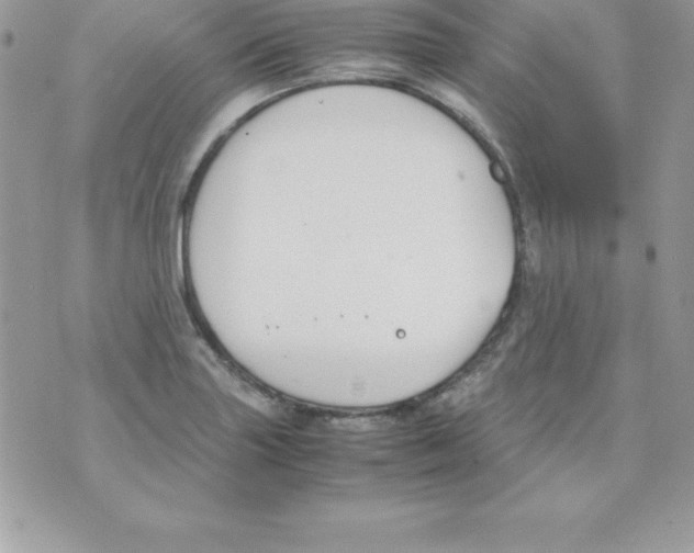 X0000070831227200607142332