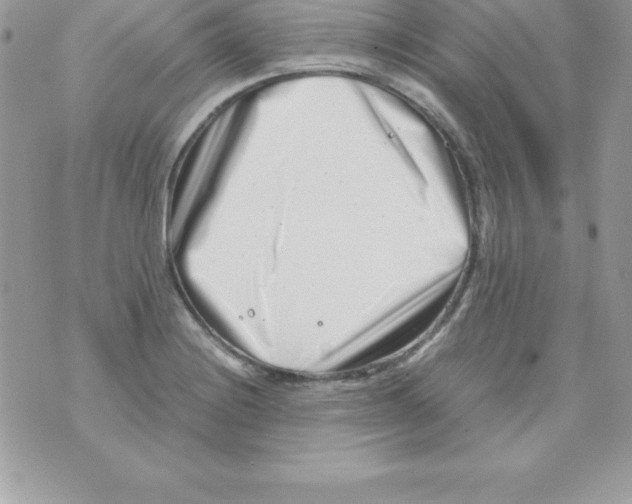 X0000070831228200607142332