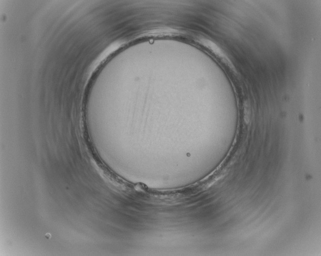 X0000070831229200607142332