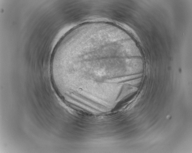 X0000070831231200607142332