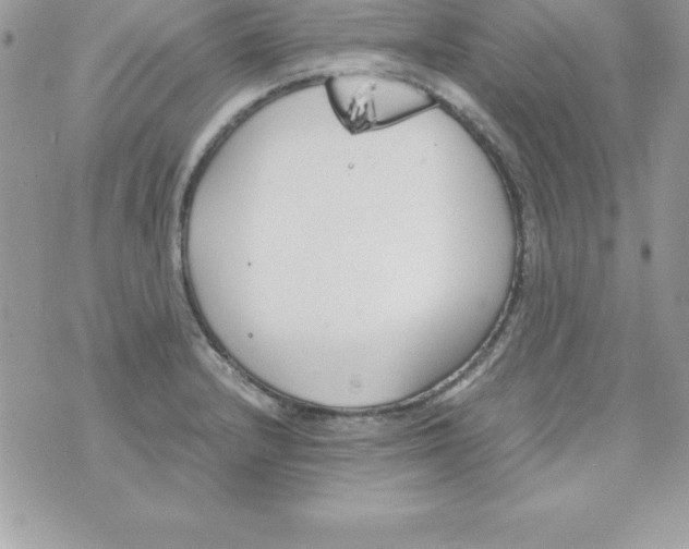 X0000070831232200607142333