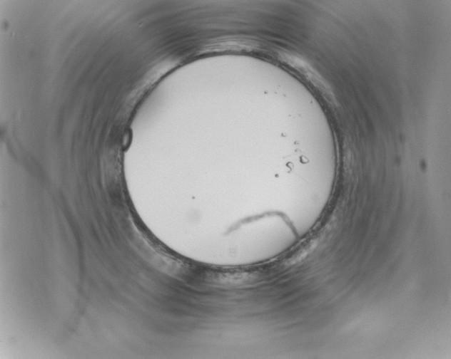 X0000070831233200607142333