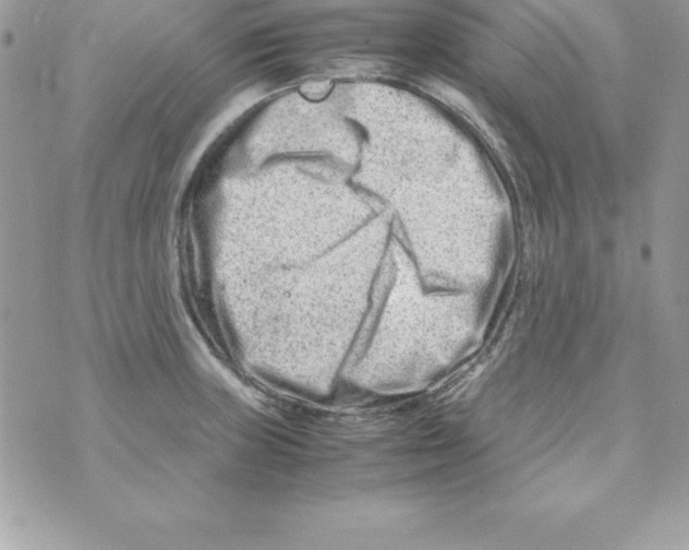 X0000070831235200607142333