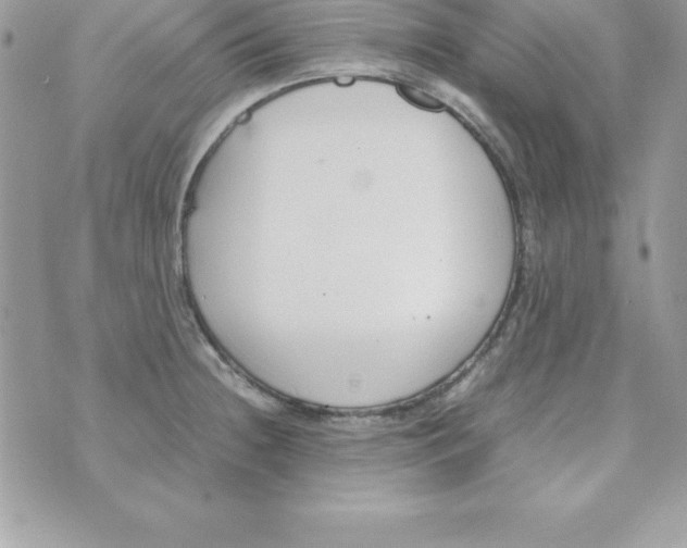 X0000070831236200607142333