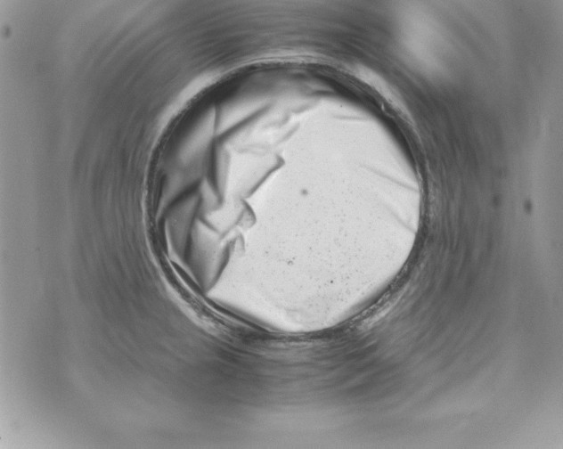 X0000070831237200607142333