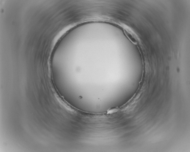 X0000070831238200607142333