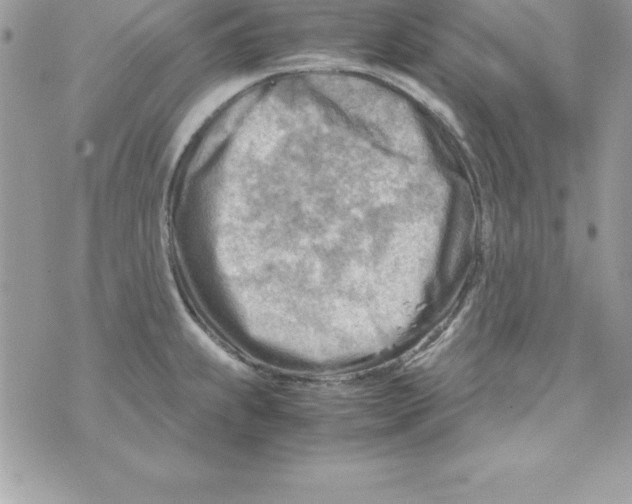 X0000070831239200607142333