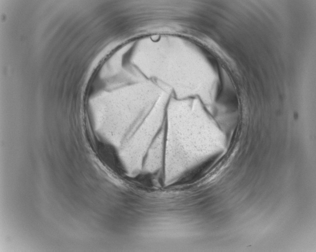 X0000070831240200607142333