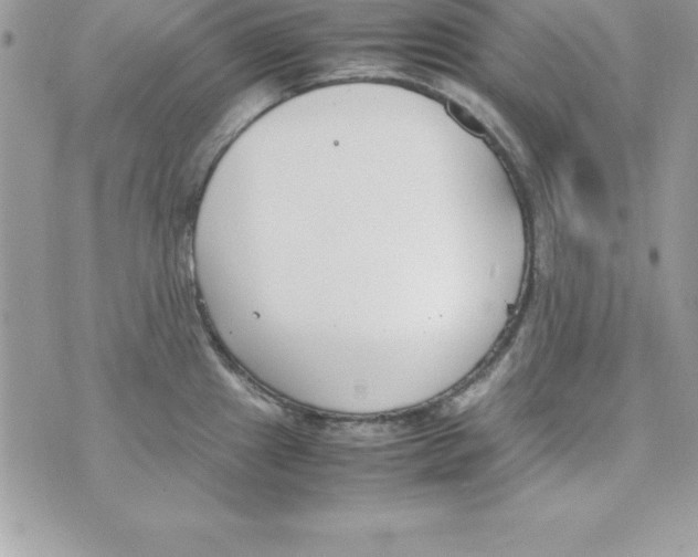 X0000070831241200607142333