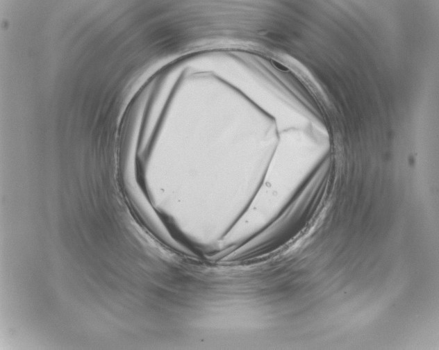 X0000070831244200607142333