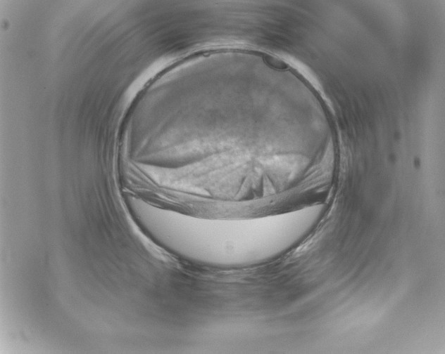 X0000070831245200607142333