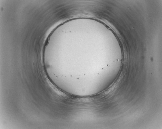 X0000070831246200607142333