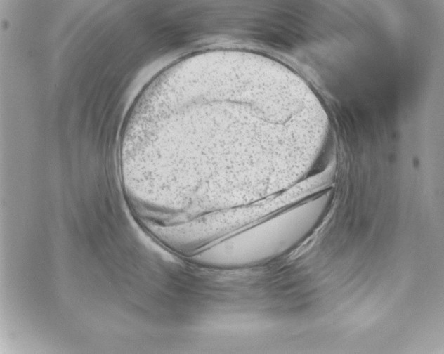 X0000070831247200607142333