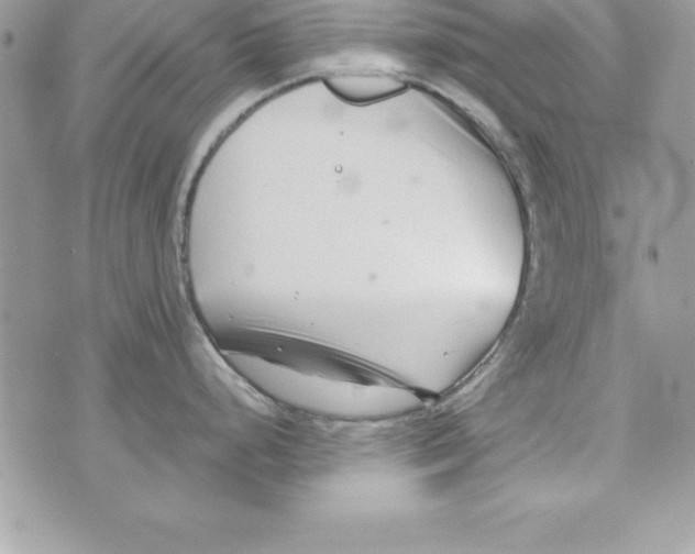 X0000070831248200607142333