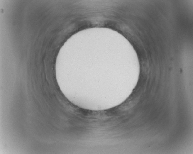 X0000070831249200607142332