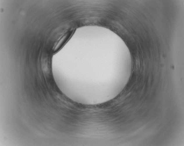 X0000070831250200607142332