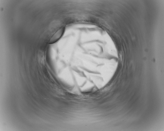 X0000070831251200607142332